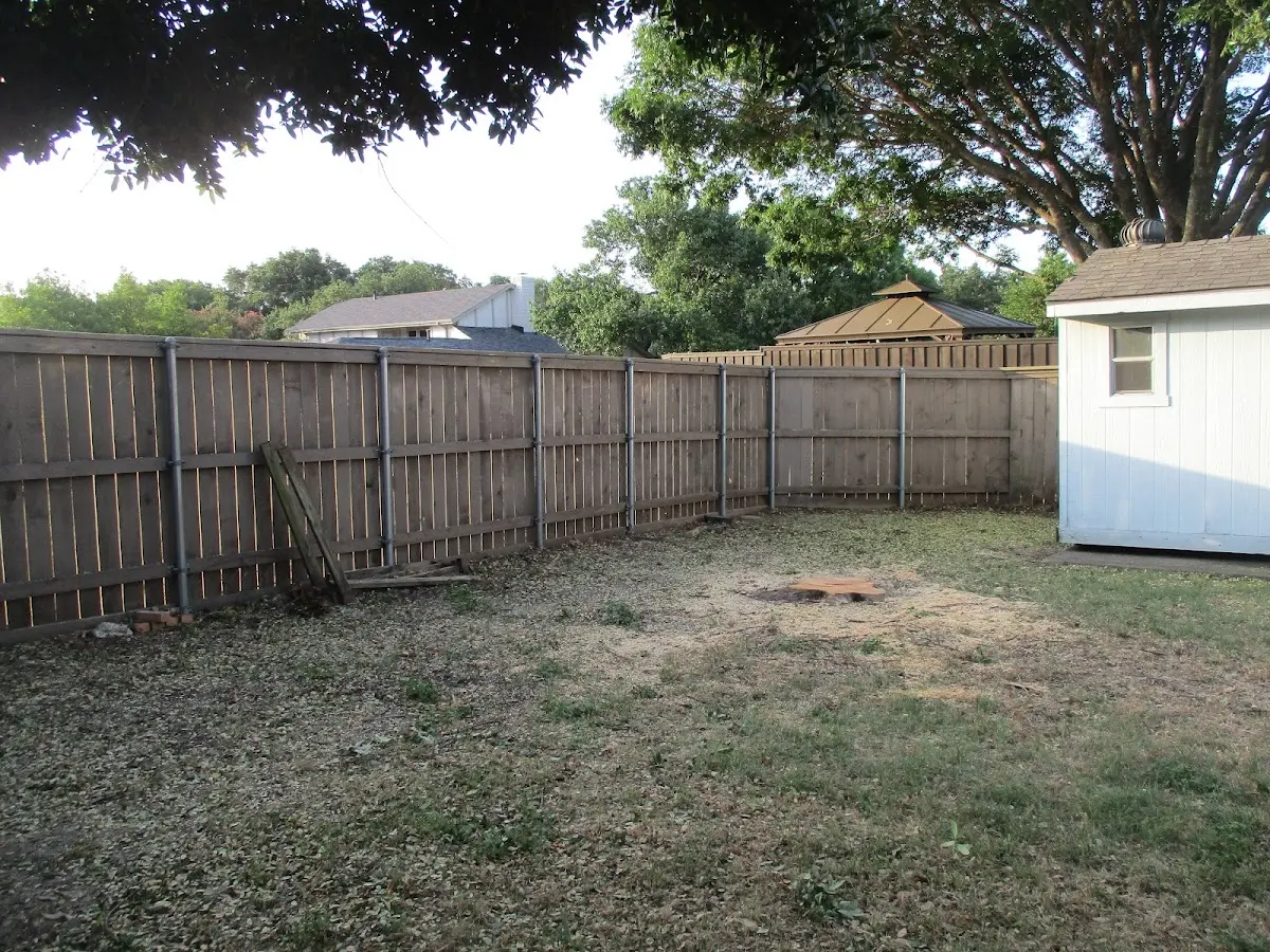Cleared yard after professional tree removal in Keystone