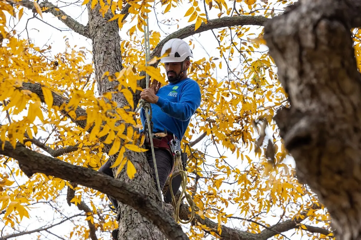 Skilled Storm Damage Cleanup crew working in Keystone